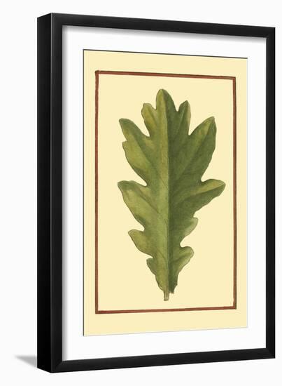 Vintage Leaf IV-Vision Studio-Framed Art Print