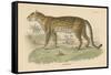 Vintage Leopard-Wild Apple Portfolio-Framed Stretched Canvas