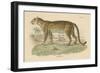 Vintage Leopard-Wild Apple Portfolio-Framed Art Print