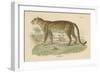 Vintage Leopard-Wild Apple Portfolio-Framed Art Print