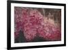 Vintage Lilacs Deux-Tina Lavoie-Framed Giclee Print