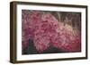 Vintage Lilacs Deux-Tina Lavoie-Framed Giclee Print