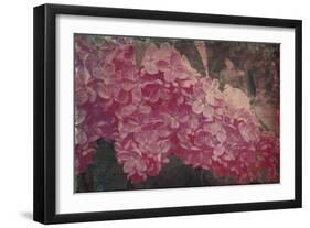 Vintage Lilacs Deux-Tina Lavoie-Framed Giclee Print