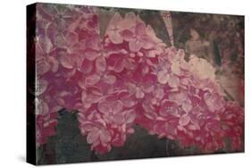 Vintage Lilacs Deux-Tina Lavoie-Stretched Canvas