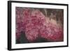 Vintage Lilacs Deux-Tina Lavoie-Framed Giclee Print