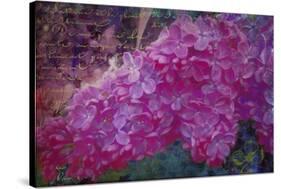 Vintage Lilacs-Tina Lavoie-Stretched Canvas