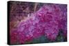Vintage Lilacs-Tina Lavoie-Stretched Canvas