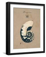 Vintage Linen Nautilus-Regina-Andrew Design-Framed Art Print