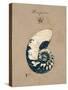 Vintage Linen Nautilus-Regina-Andrew Design-Stretched Canvas