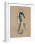 Vintage Linen Seahorse-Regina-Andrew Design-Framed Art Print