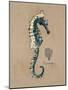 Vintage Linen Seahorse-Regina-Andrew Design-Mounted Art Print