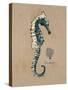 Vintage Linen Seahorse-Regina-Andrew Design-Stretched Canvas