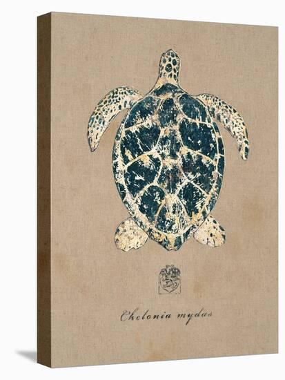 Vintage Linen Tortoise-Regina-Andrew Design-Stretched Canvas