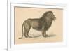 Vintage Lion-Wild Apple Portfolio-Framed Art Print