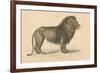 Vintage Lion-Wild Apple Portfolio-Framed Art Print