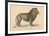 Vintage Lion-Wild Apple Portfolio-Framed Art Print