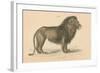 Vintage Lion-Wild Apple Portfolio-Framed Art Print