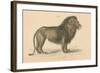 Vintage Lion-Wild Apple Portfolio-Framed Art Print