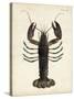 Vintage Lobster-DeKay-Stretched Canvas