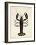 Vintage Lobster-DeKay-Framed Art Print