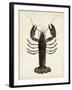 Vintage Lobster-DeKay-Framed Art Print