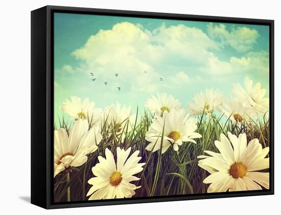 Vintage Look of Summer Daisies in Grass-Sandralise-Framed Stretched Canvas