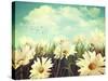 Vintage Look of Summer Daisies in Grass-Sandralise-Stretched Canvas