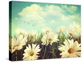 Vintage Look of Summer Daisies in Grass-Sandralise-Stretched Canvas