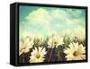 Vintage Look of Summer Daisies in Grass-Sandralise-Framed Stretched Canvas