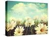 Vintage Look of Summer Daisies in Grass-Sandralise-Stretched Canvas