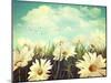 Vintage Look of Summer Daisies in Grass-Sandralise-Mounted Photographic Print