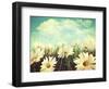 Vintage Look of Summer Daisies in Grass-Sandralise-Framed Photographic Print