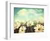 Vintage Look of Summer Daisies in Grass-Sandralise-Framed Photographic Print