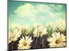 Vintage Look of Summer Daisies in Grass-Sandralise-Mounted Photographic Print