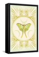 Vintage Luna Moth-null-Framed Stretched Canvas