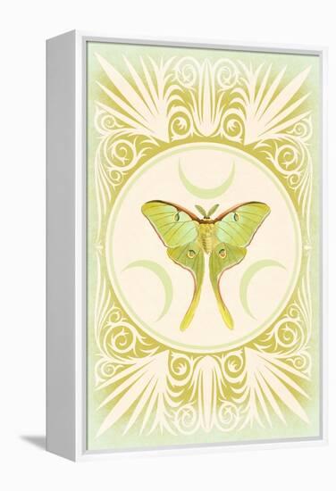Vintage Luna Moth-null-Framed Stretched Canvas