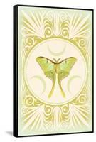 Vintage Luna Moth-null-Framed Stretched Canvas