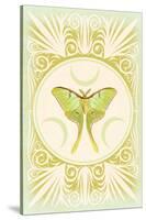 Vintage Luna Moth-null-Stretched Canvas