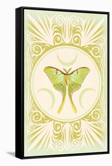 Vintage Luna Moth-null-Framed Stretched Canvas