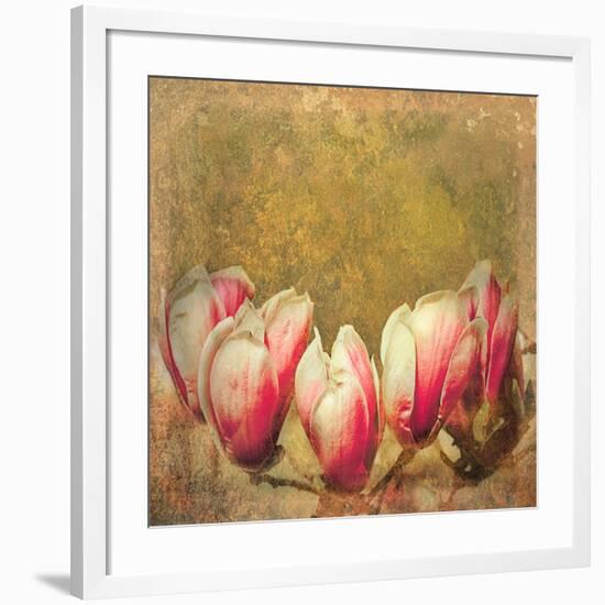 Vintage Magnolia; 2019,-Helen White-Framed Giclee Print