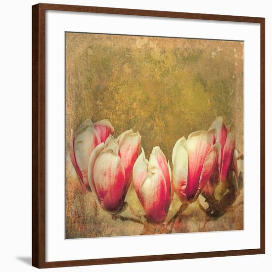 Vintage Magnolia; 2019,-Helen White-Framed Giclee Print