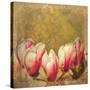 Vintage Magnolia; 2019,-Helen White-Stretched Canvas