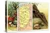 Vintage Map, Agriculture, Mining-null-Stretched Canvas
