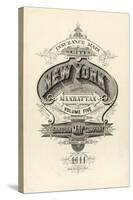 Vintage Map NY-null-Stretched Canvas