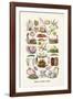 Vintage Menu Cards-The Vintage Collection-Framed Giclee Print