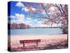 Vintage Moment-Philippe Sainte-Laudy-Stretched Canvas