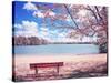 Vintage Moment-Philippe Sainte-Laudy-Stretched Canvas