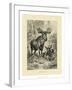 Vintage Moose or Elk-Specht Friedrich-Framed Art Print