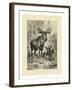 Vintage Moose or Elk-Specht Friedrich-Framed Art Print