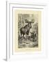 Vintage Moose or Elk-Specht Friedrich-Framed Art Print